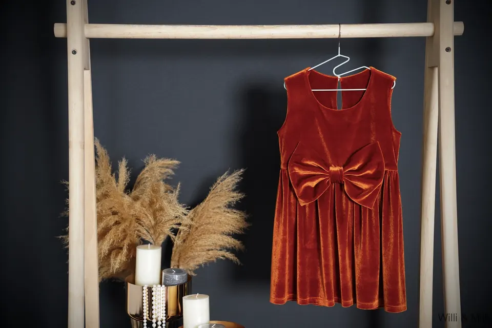 Brick Velvet Dress Front Sash Bow — photo 3